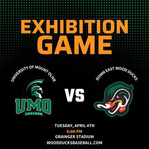 Image post by @gowoodducks on Instagram
