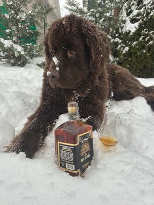 Image post by @mrandmrsbourboncompany on Instagram