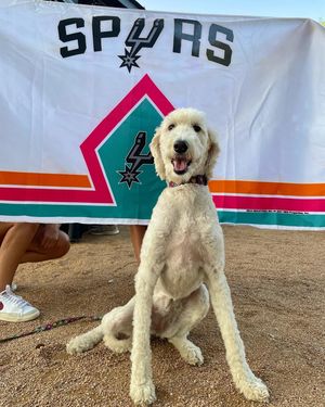 Image post by @austin_spurs on Instagram