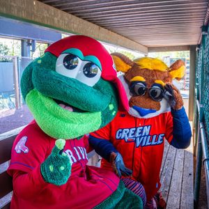 Image post by @swamprabbits on Instagram