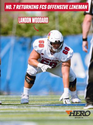 Image post by @isuredbirdfb on Instagram