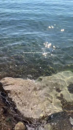 Video post by @morgan.exploring on TikTok