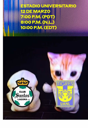 Video post by @clubtigresfemenil on TikTok