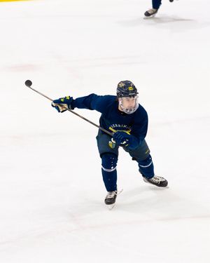 Image post by @Merrimack_MIH on Twitter/X