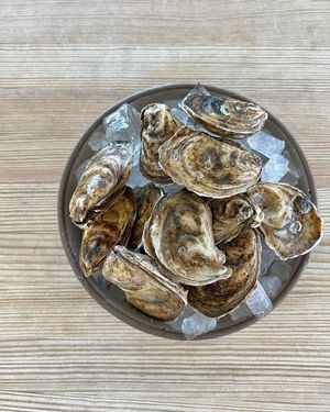 Image post by @starprovisions on Instagram