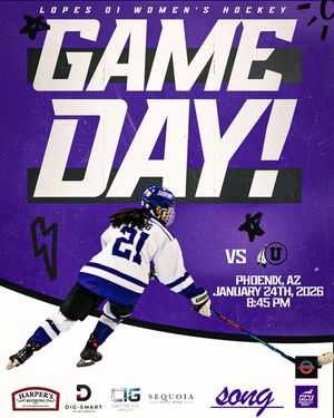 Image post by @lopeswhockey on Instagram