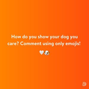 Image post by @dogtopiagr on Instagram
