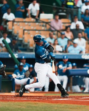 Image post by @tigresdellicey on Instagram