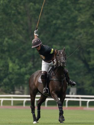 Image post by @greenwichpoloclub on Instagram