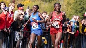 Video post by @runnerspace on YouTube