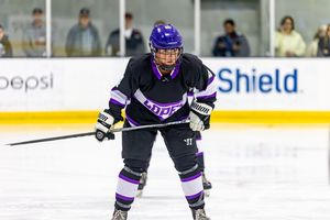 Image post by @lopeswhockey on Instagram