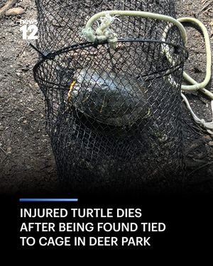 Image post by @news12li on Instagram