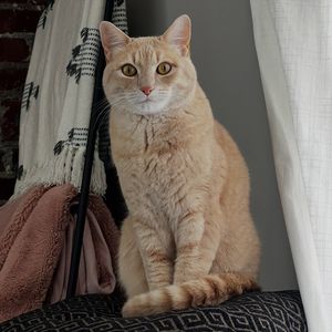 Image post by @thegoldenbreakfastclub on Instagram