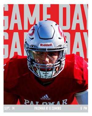 Image post by @palomarathletics on Instagram