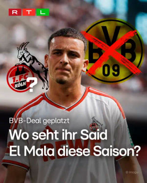 Image post by @rtl.sport on TikTok