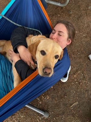 Image post by @enohammocks on Instagram