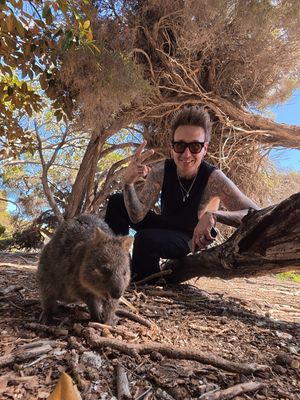 Image post by @paparoach on Instagram