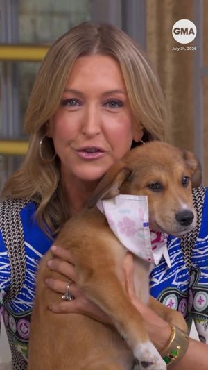 Video post by @gma on TikTok