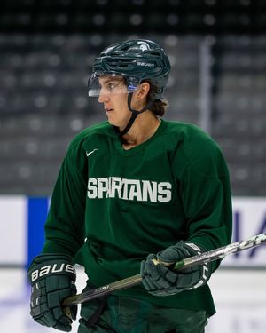 Image post by @everythingcollegehockey on Instagram