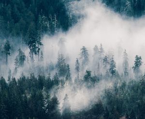 Image post by @grainyknight on Instagram
