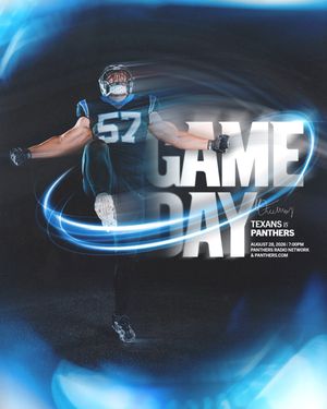Image post by @panthers on Instagram
