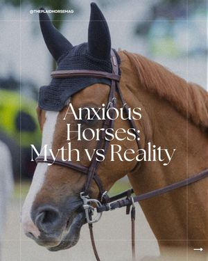 Image post by @theplaidhorsemag on Instagram