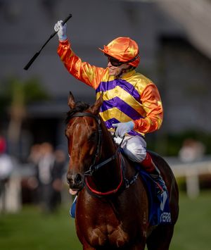 Image post by @worldhorseracing on Instagram