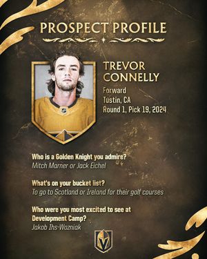 Image post by @vegasgoldenknights on Instagram