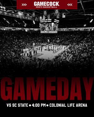 Image post by @coloniallifearena on Instagram