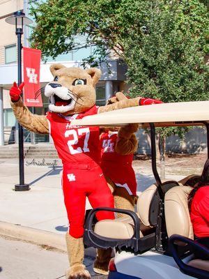 Image post by @amqt.photo on Instagram