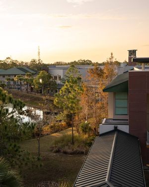 Image post by @fgcu on Instagram