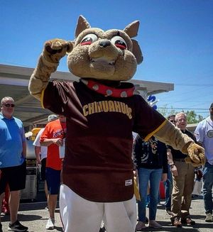 Image post by @chico_epchihuahuas on Instagram