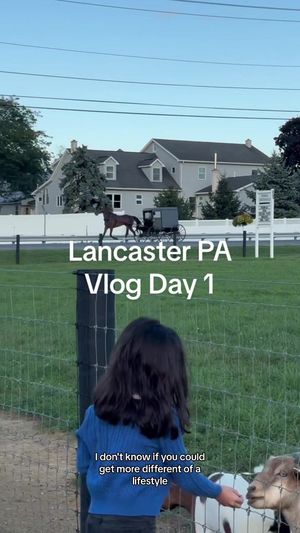 Video post by @sophiasreallife on TikTok