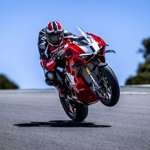 Image post by @panigalers on Instagram