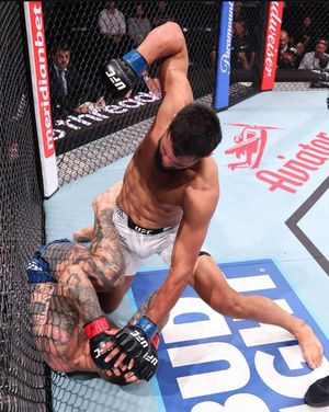 Image post by @lfafighting on Instagram