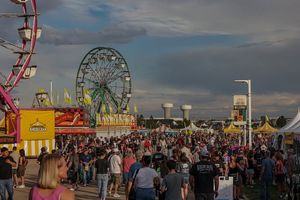 Image post by @larimercountyfair on Instagram