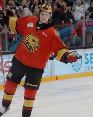 Image post by @winterhawks on Instagram