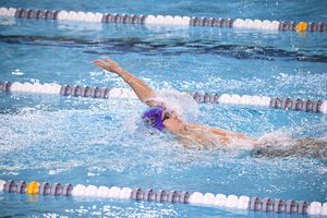 Image post by @NUSwimDive on Twitter