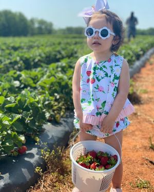 Image post by @southernbellefarm on Instagram