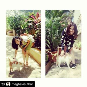 Image post by @kanchan_balani on Instagram