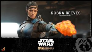Image post by @hottoysofficial on Twitter/X