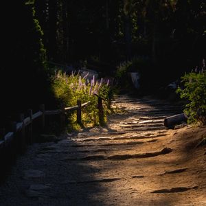 Image post by @rob_took_it on Instagram