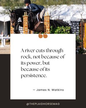Image post by @theplaidhorsemag on Instagram