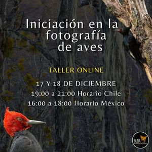 Image post by @fauna.patagonia on Facebook