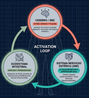 Image post by @ruben_nutricionyentrenamiento on Instagram