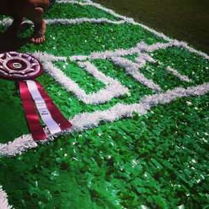 Image post by @umassfootball on Instagram