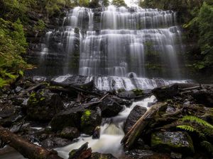 Image post by @discovery on Instagram