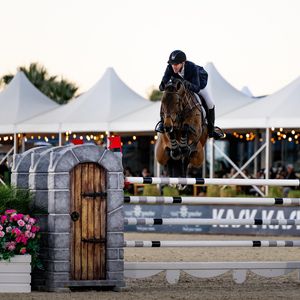 Image post by @theplaidhorsemag on Instagram