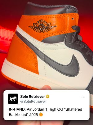 Image post by @soleretriever on Instagram