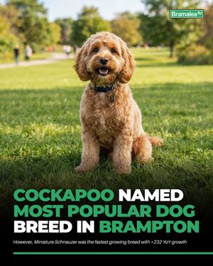 Image post by @bramalea.rd on Instagram